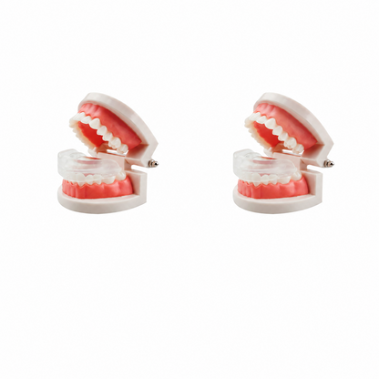 Today's Special Offer | Buy 2 Get 1 Free